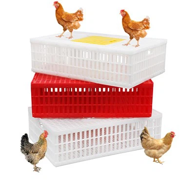 Plastmasas vistas transportēšanas kaste 35″LX 23,5″WX 10,25 collas