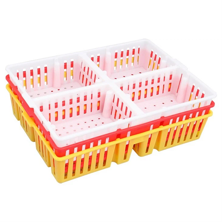 Plastic Chick Box 4 Compartments
