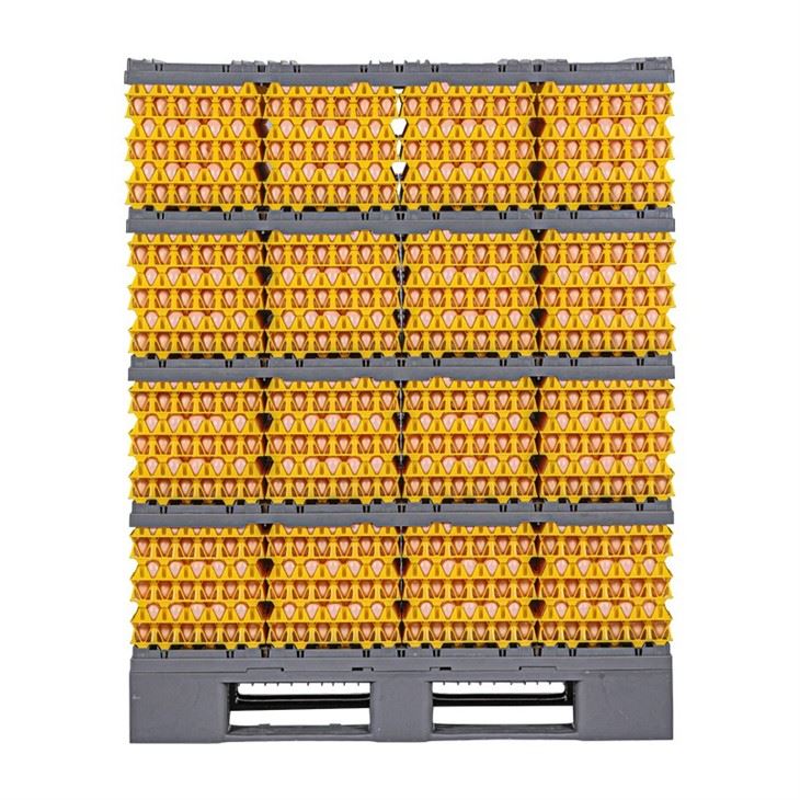 Plastic Egg Tray Divider