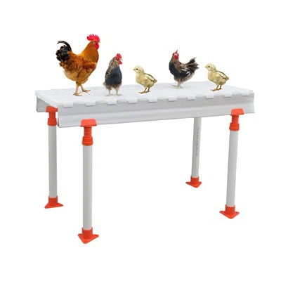 Paklāja redeļu plastmasas grīda mājputnu audzēšanai