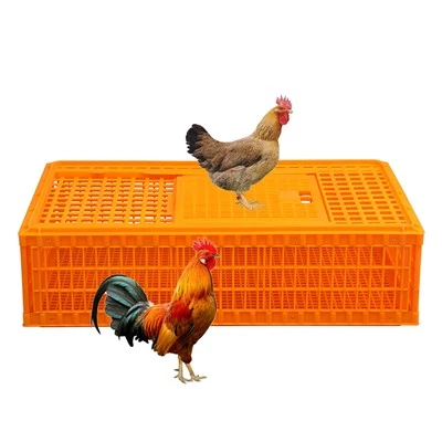 Plastmasas vistas būra apgrozības kaste